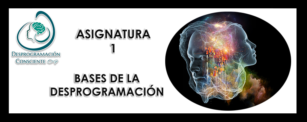 13G – ASIGNATURA 1 – BASES DE LA DESPROGRAMACIÓN