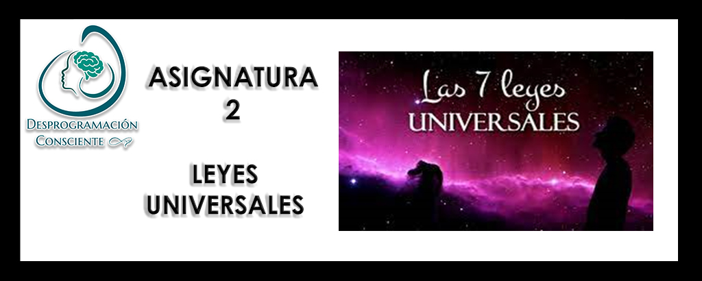 13G – ASIGNATURA 2 – LEYES UNIVERSALES