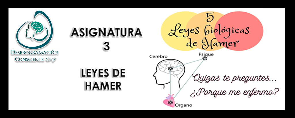 13G – ASIGNATURA 3 – LEYES DE HAMER