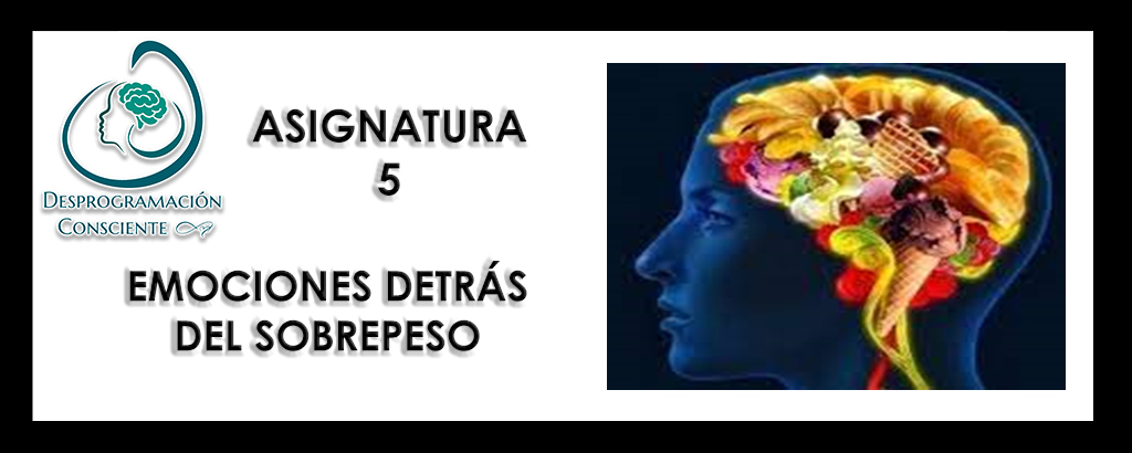 13G – ASIGNATURA 5 – EMOCIONES DETRÁS DEL SOBREPESO