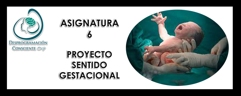 13G – ASIGNATURA 6 – PROYECTO SENTIDO