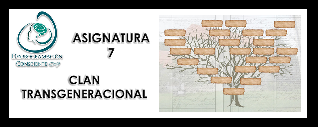 13G – ASIGNATURA 7 – CLAN TRANSGENERACIONAL