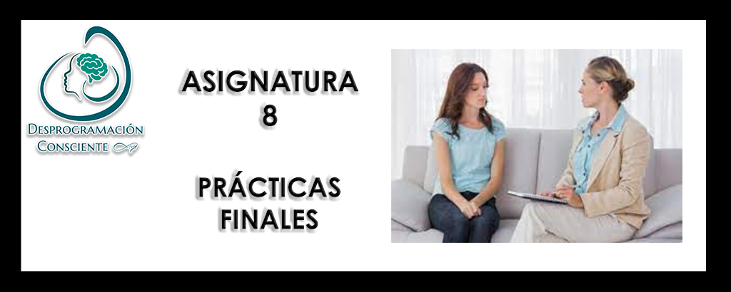 13G – ASIGNATURA 8 – PRÁCTICAS FINALES